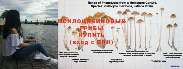 амфетамин Верхний Тагил