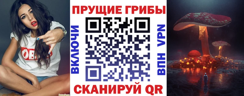 Галлюциногенные грибы мухоморы  как найти закладки  MEGA   Екатеринбург 